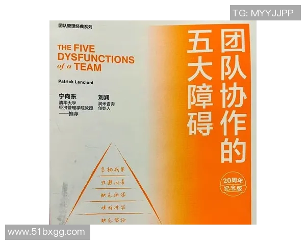 北京飞盘队团队协作表现的深入数据分析与探讨