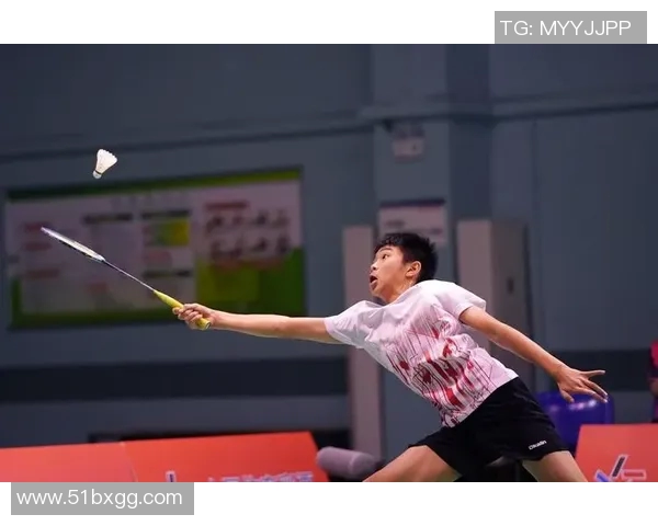 杭州羽毛球队耐力表现数据分析与训练策略探讨